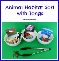 three bowls with animals in them and the words animal habitat sort with tongs