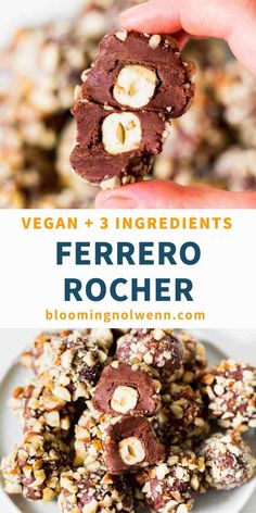 vegan and 3 ingredient ferreto rocher recipe on a plate