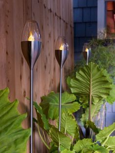 two glass candles are lit in front of some plants