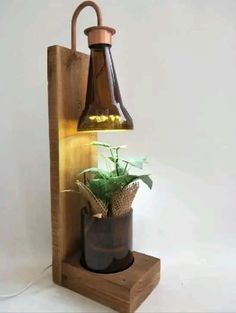 a potted plant sitting on top of a wooden shelf next to a light fixture