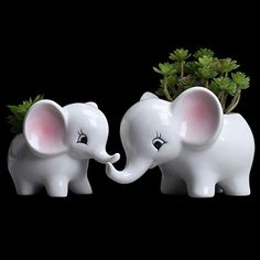 two small white elephants standing next to each other with plants in their trunks on top of them