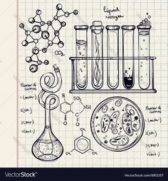 hand drawn illustration of science equipment on lined paper with test tubes and flasks