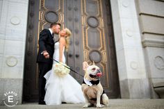 a bride and groom pose with their dog in front of the doors of a building