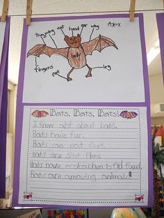 a bulletin board with an image of a bat hanging from it's side and writing instructions below