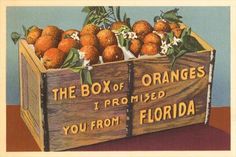 a box of oranges with the words, the box of oranges i pro - mixed you from florida