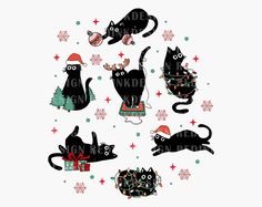 four black cats wearing christmas hats and sweaters, with snowflakes around them