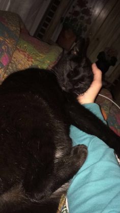 a black cat laying on top of a couch next to a persons leg and arm