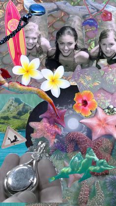 a collage of photos with flowers, shells and other things in it that are floating on water