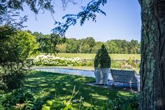 a bench sitting in the middle of a lush green field next to a swimming pool