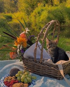 a cat sitting in a basket on top of a blanket next to fruit and vegetables