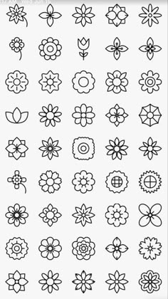 the different types of flowers are shown in black and white, with one line drawn on it