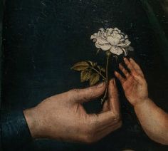 two hands holding a white flower on a black background