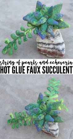 two pictures of different plants and rocks with text overlay that reads, string of pearls and echeneriae hot glue faux succulents