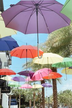 many colorful umbrellas are hanging in the air above some palm trees and street lights