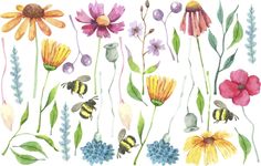 watercolor flowers and bees are shown in this image, with one bee on the flower