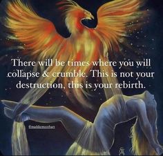 Phoenix Quotes, Spiritual Awakening Quotes, Divine Feminine Spirituality, Awakening Quotes, Zodiac Gifts, After Life, Spiritual Wisdom, Shadow Work