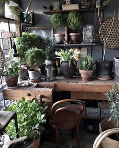 many potted plants are sitting on a table in a room with shelves and chairs