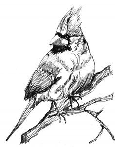 a black and white drawing of a bird on a branch