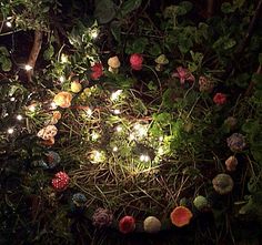 an aerial view of flowers in the grass