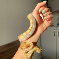 a woman holding a yellow and white snake in her hand with green nails on it