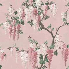 a pink wallpaper with white and pink flowers on the branches, in front of a tree