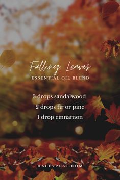 Sandlewood Essential Oil Diffuser Blends, Woodsy Essential Oil Blend, Woodsy Diffuser Blends, Sandalwood Diffuser Blend, Sandalwood Essential Oil Blends, Pine Essential Oil Blends, Cinnamon Essential Oil Blends, Autumn Essential Oil Blends, Sandalwood Blends