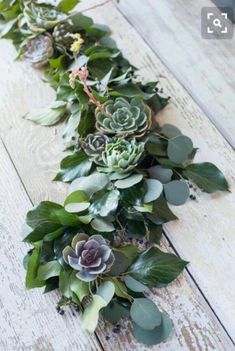 a long row of succulents and leaves on a wooden floor