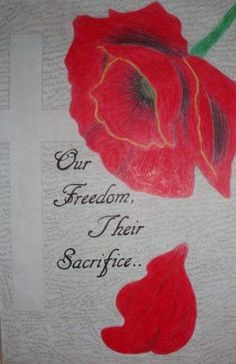 a red flower with the words our freedom, their saucifie written on it