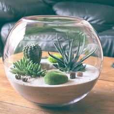 a glass bowl filled with plants on top of a wooden table