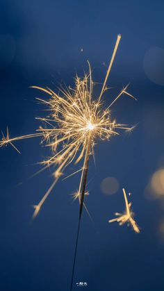 a close up of a dandelion on a blue sky with lights in the background