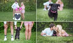 Warrensburg Missouri couple Kennedy Sartwell and Jake Terry recently adopted a new puppy named Raven. In order to announce Raven to family and friends, they had a gender-reveal photo shoot. Dog Announcement Photos, Dog Reveal Ideas, New Puppy Announcement Photo Shoot, Puppy Reveal Ideas, Puppy Gender Reveal, Puppy Announcement Ideas, Dog Adoption Announcement, Pet Adoption Announcement, Dog Gender Reveal