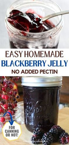 easy homemade blackberry jelly no added pectin