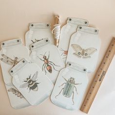 four mason jars with bugs on them next to a measuring tape and a wooden stick