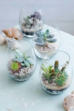 three glass vases filled with different types of succulents and rocks on a table