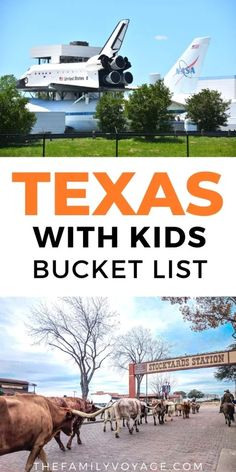 Things To Do In Texas With Kids, Things To Do In Dallas Texas With Kids, Texas Things To Do, Texas Family Vacation Ideas, Austin Texas With Kids, Texas Vacation Ideas, Vacations In Texas, Dallas With Kids, Dallas Activities