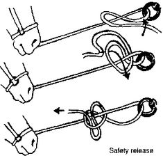 the diagram shows how to use safety release ropes for horses and their foals