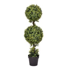 a potted plant with two topiary trees on it's sides, in front of a white background