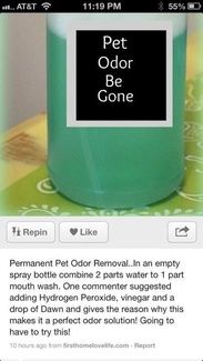 a bottle of pet odor be gone sitting on top of a green tablecloth with the words pet odor be gone above it