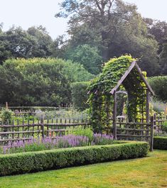 a garden with lots of green plants and purple flowers