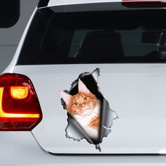 Cat Window, Pvc Vinyl, Car Decals Vinyl, Car Sticker, Cat Stickers