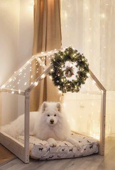 a white dog laying on top of a bed under a christmas wreath