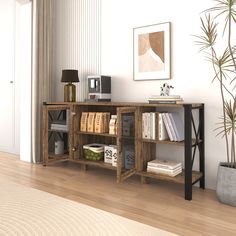 a living room with a book shelf and potted plant