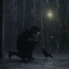 a man kneeling down in the rain next to a bird on a sidewalk at night