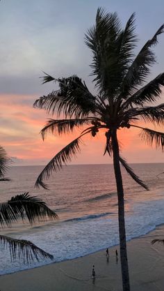 Indian beach aesthetic palm trees sunset ocean photography Varkala Beach Photography, Varkala Beach, Creative Beach Pictures, Travel 2024, Bf Picture, Beach Hotel & Resort, Instagram Snap, Visual Board