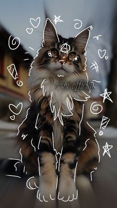 a cat sitting in the middle of a street with hearts and stars on it's face