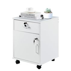 a white filing cabinet with two drawers and a plant on top, against a white background