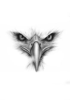 an eagle's head is shown in black and white