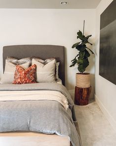 a bedroom with a bed and plant in the corner