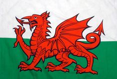 the flag of wales is shown in red, white and green with a dragon on it