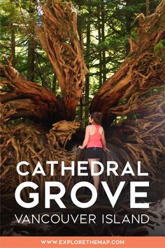 a woman sitting on top of a tree stump in the woods with text reading cathedral grove vancouver